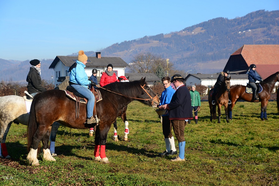 Pferdesegnung in St.Stefan im Lavanttal