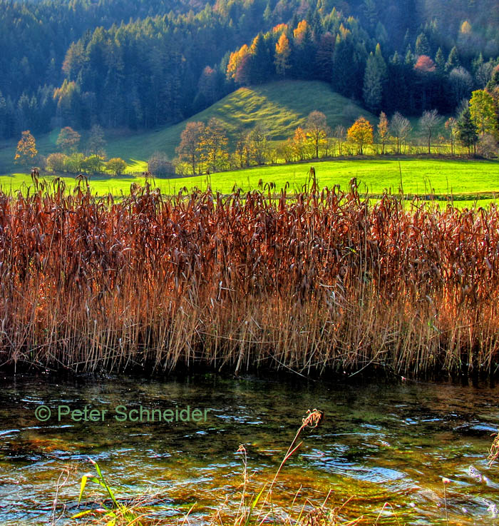 Pillersee