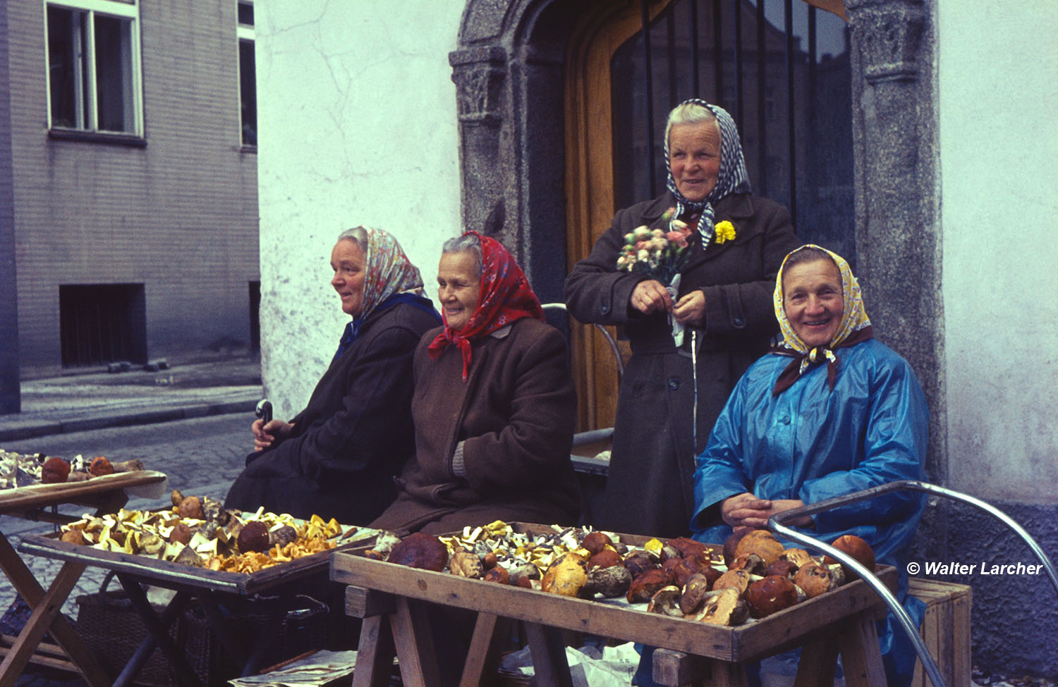 Pilzverkäuferinnen Tabor