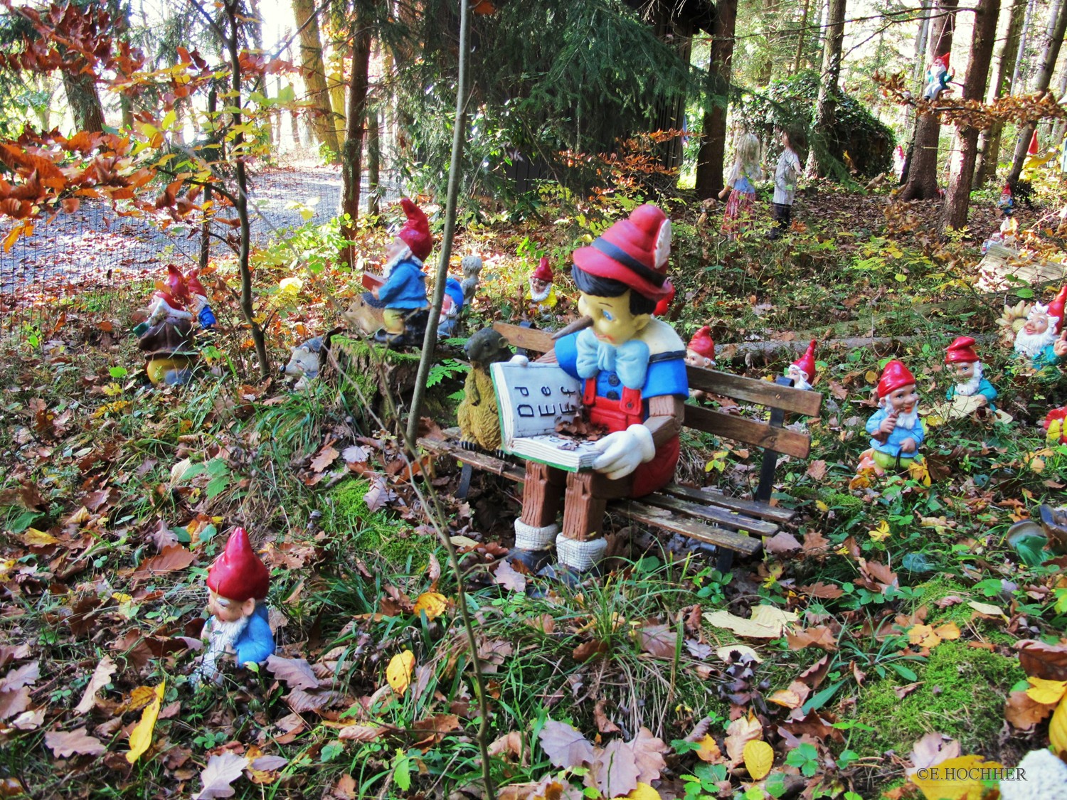 Pinocchio im Zwergenwald