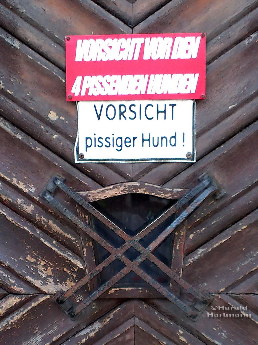 pissiger Hund