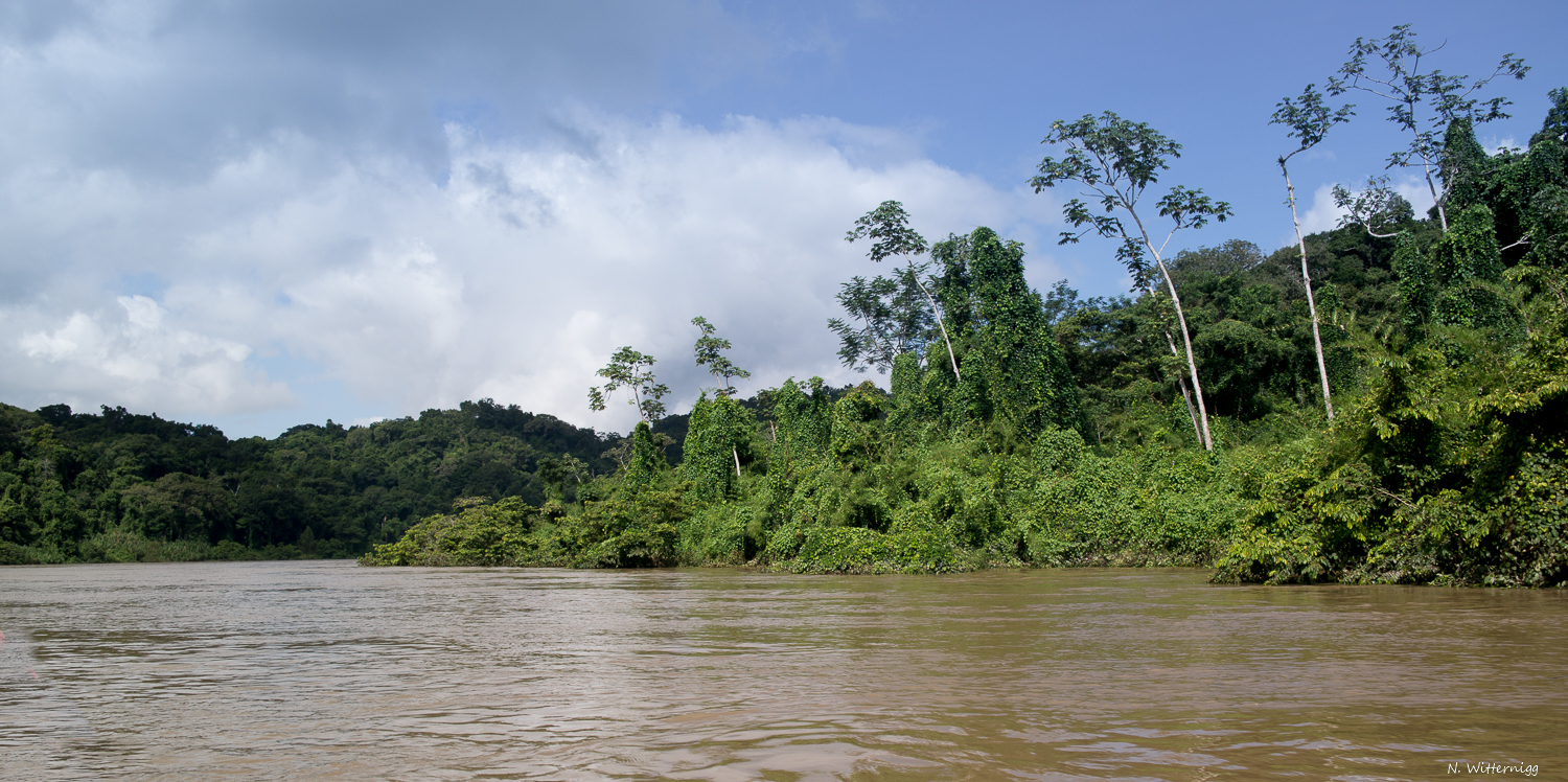 Río Usumacinta - 3  (Video)