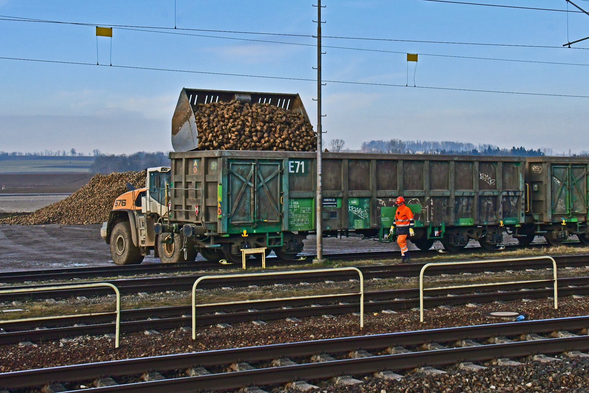 Rübenverladung