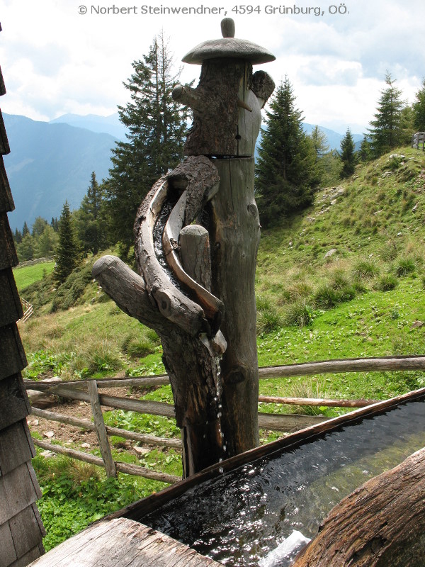 Radlberger Alm - Brunnen (2)