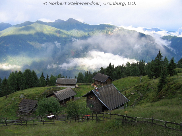 Radlberger Alm