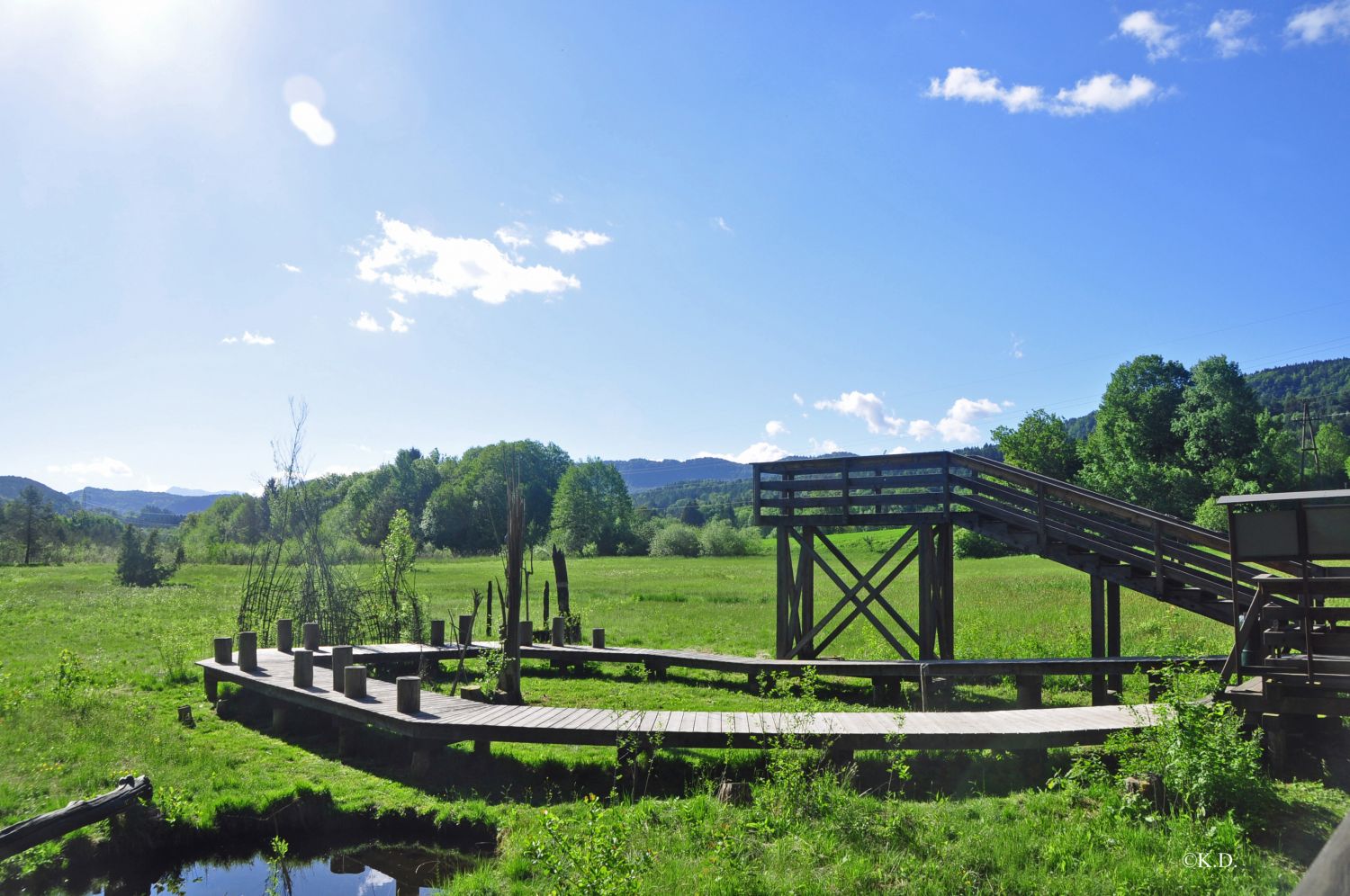 Ramsar-Moor in Schiefling (Kärnten)