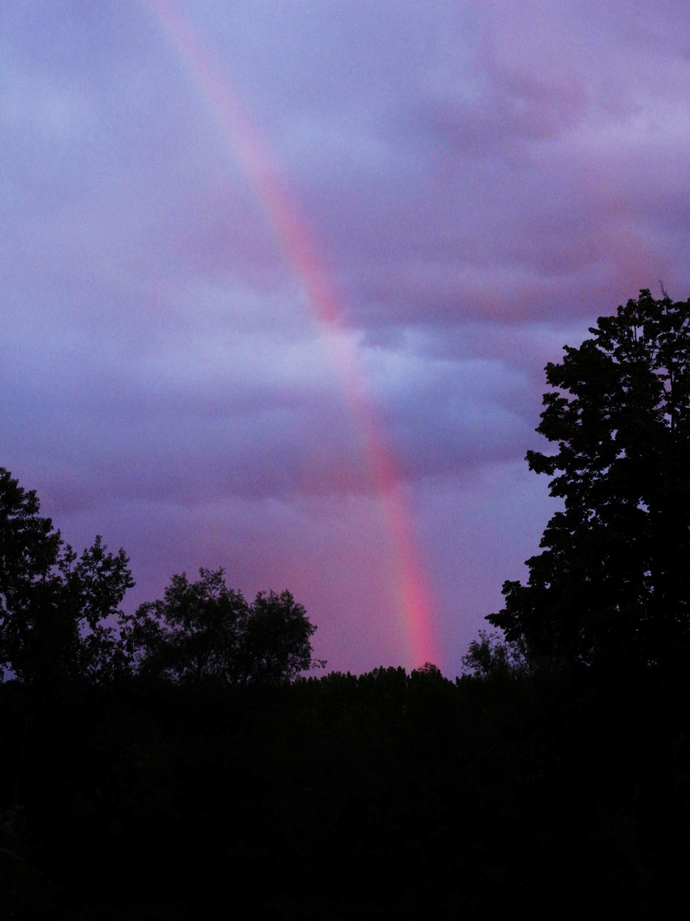 Regenbogen