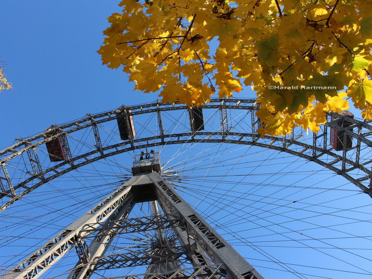 Riesenrad im Herbst