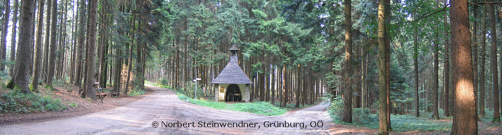 Rote Säule im Hausruckwald (1)