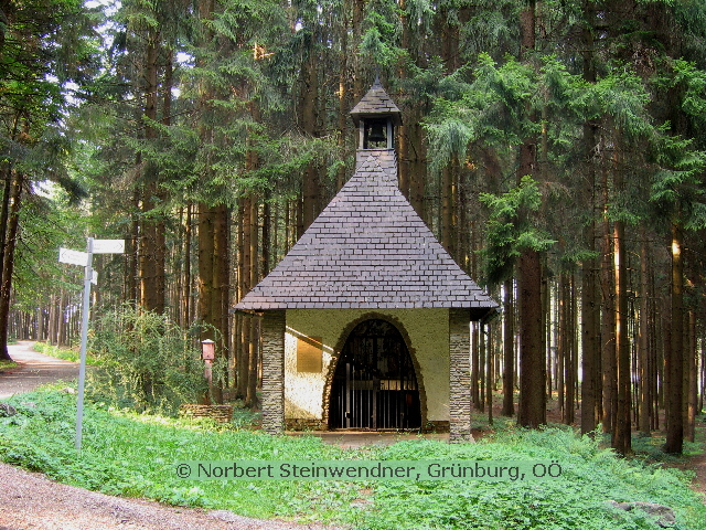 Rote Säule im Hausruckwald (2)