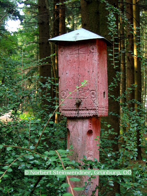 Rote Säule im Hausruckwald (5)