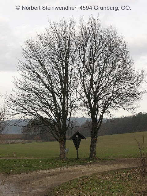 Rotes Kreuz bei Frauenhofen