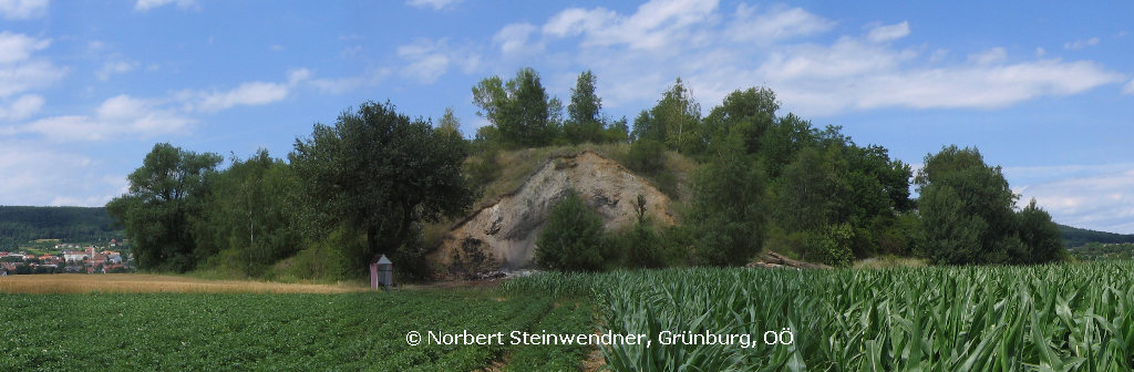 Rotes Kreuz in Wölbling