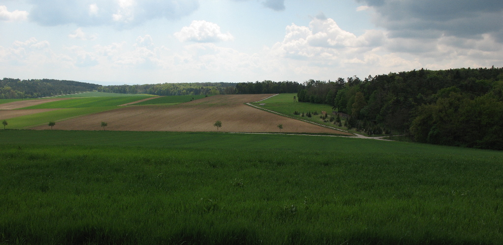 Rotes Kreuz zwischen Theyern und Höbenbach