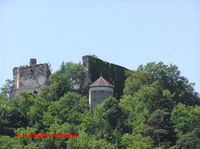 Ruine Mollenburg