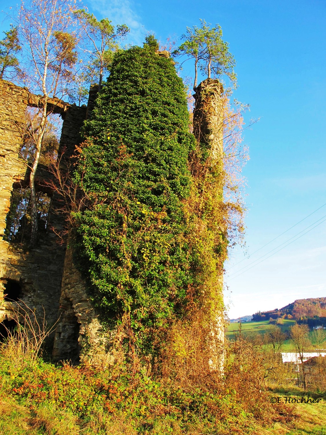 Ruine Niederperwarth