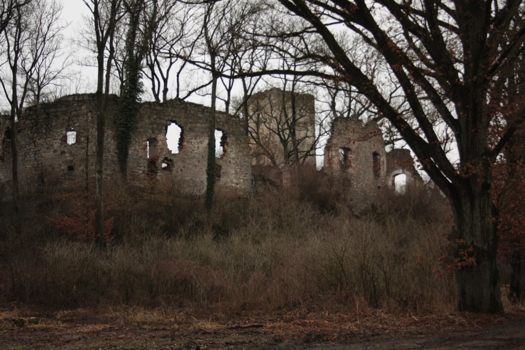 Ruine Spilberg