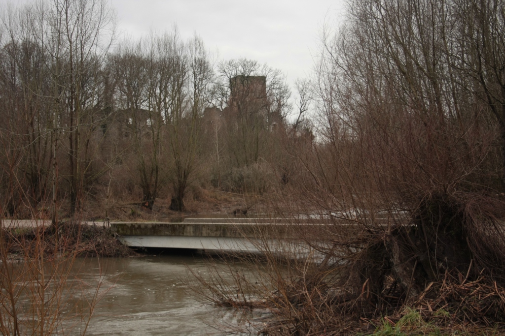 Ruine Spilberg