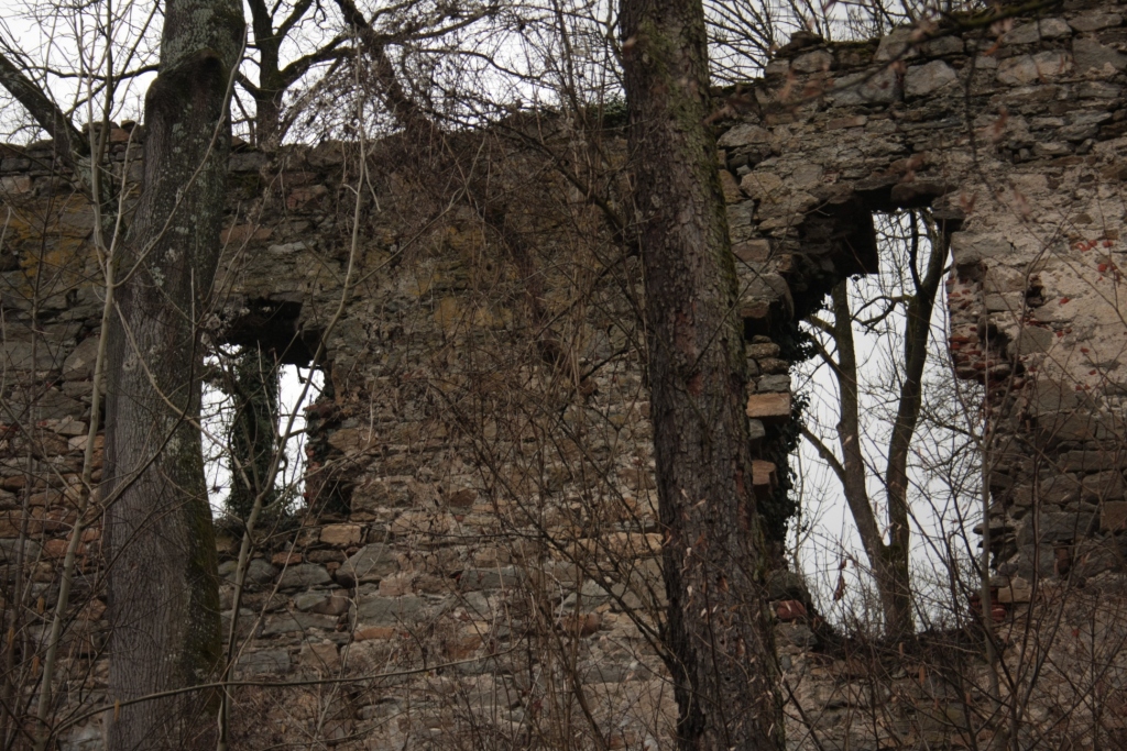 Ruine Spilberg