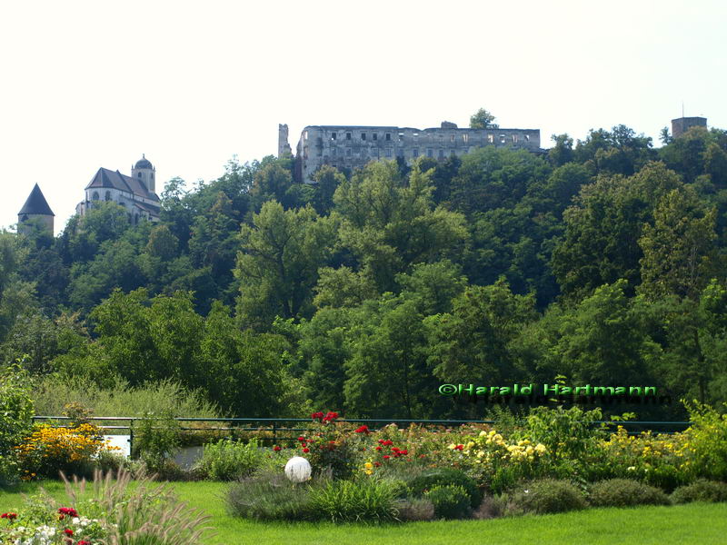 Ruine Thunau