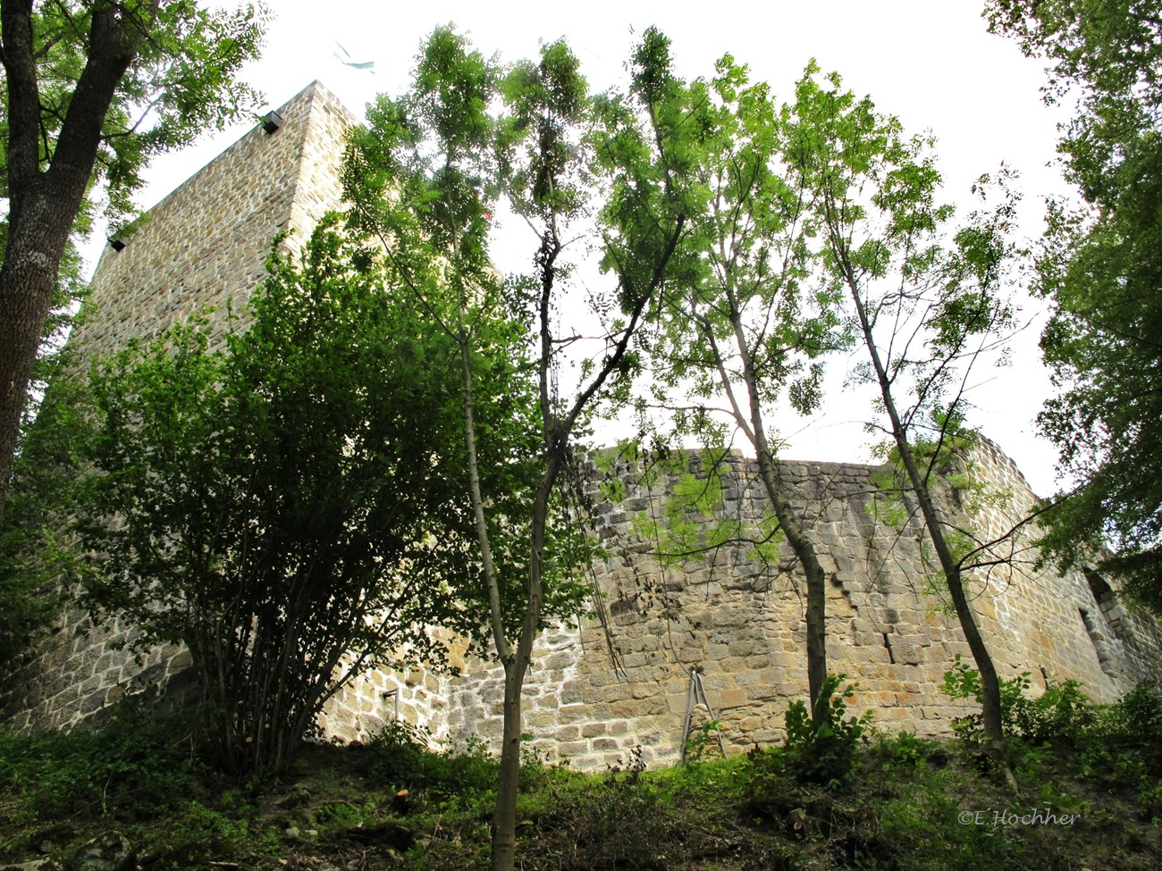 Ruine Windegg