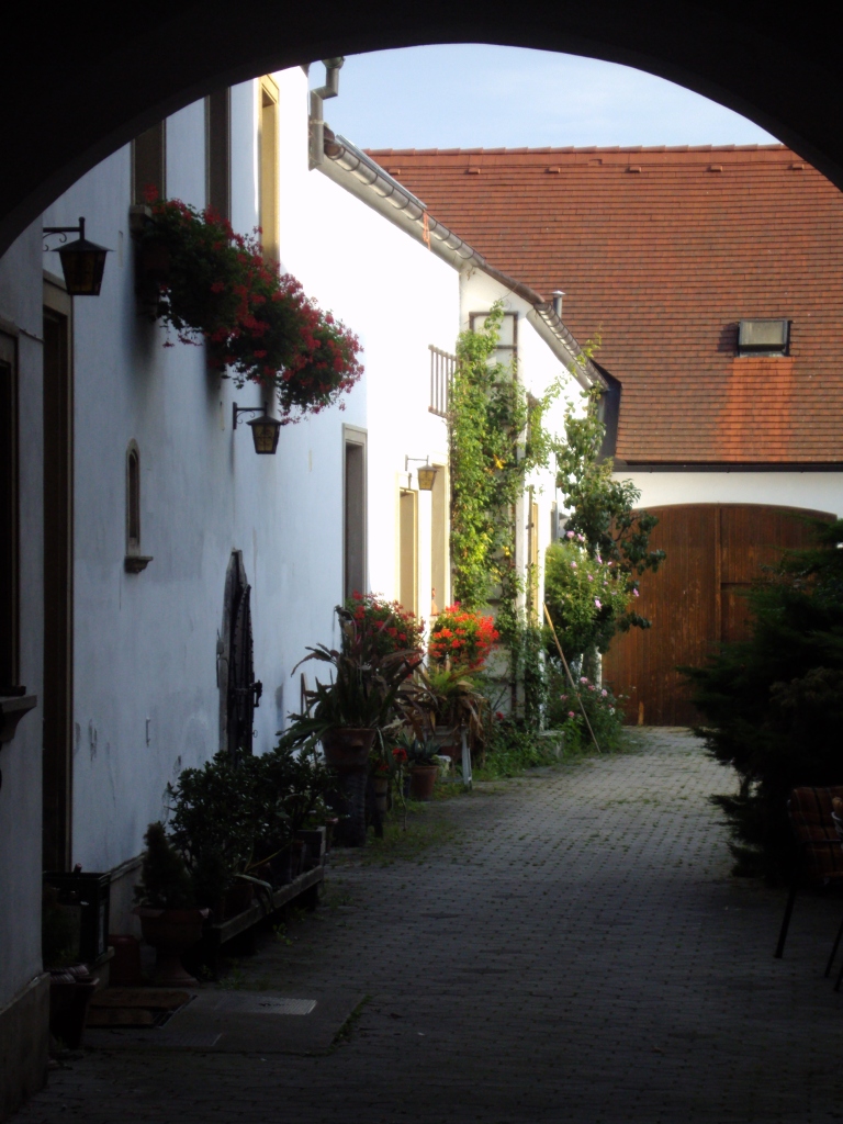 Rust am Neusiedlersee