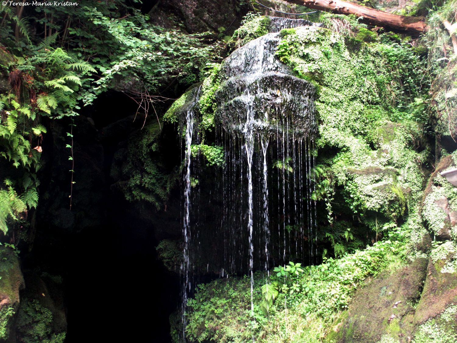 Sächsische Schweiz - Amselfall