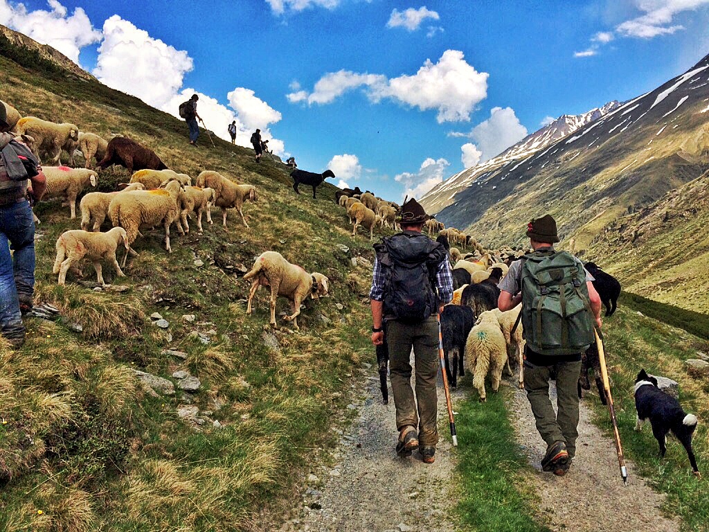 Südtiroler Bauern und Hirten mit ihren Tieren