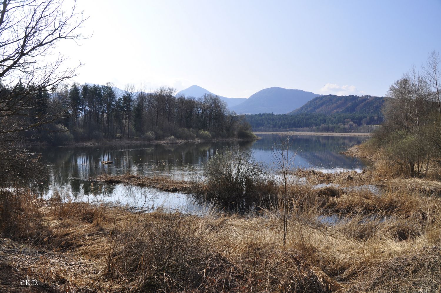 Sablatnig-Moor (Gem.Eberndorf - Nähe Klopeinersee)