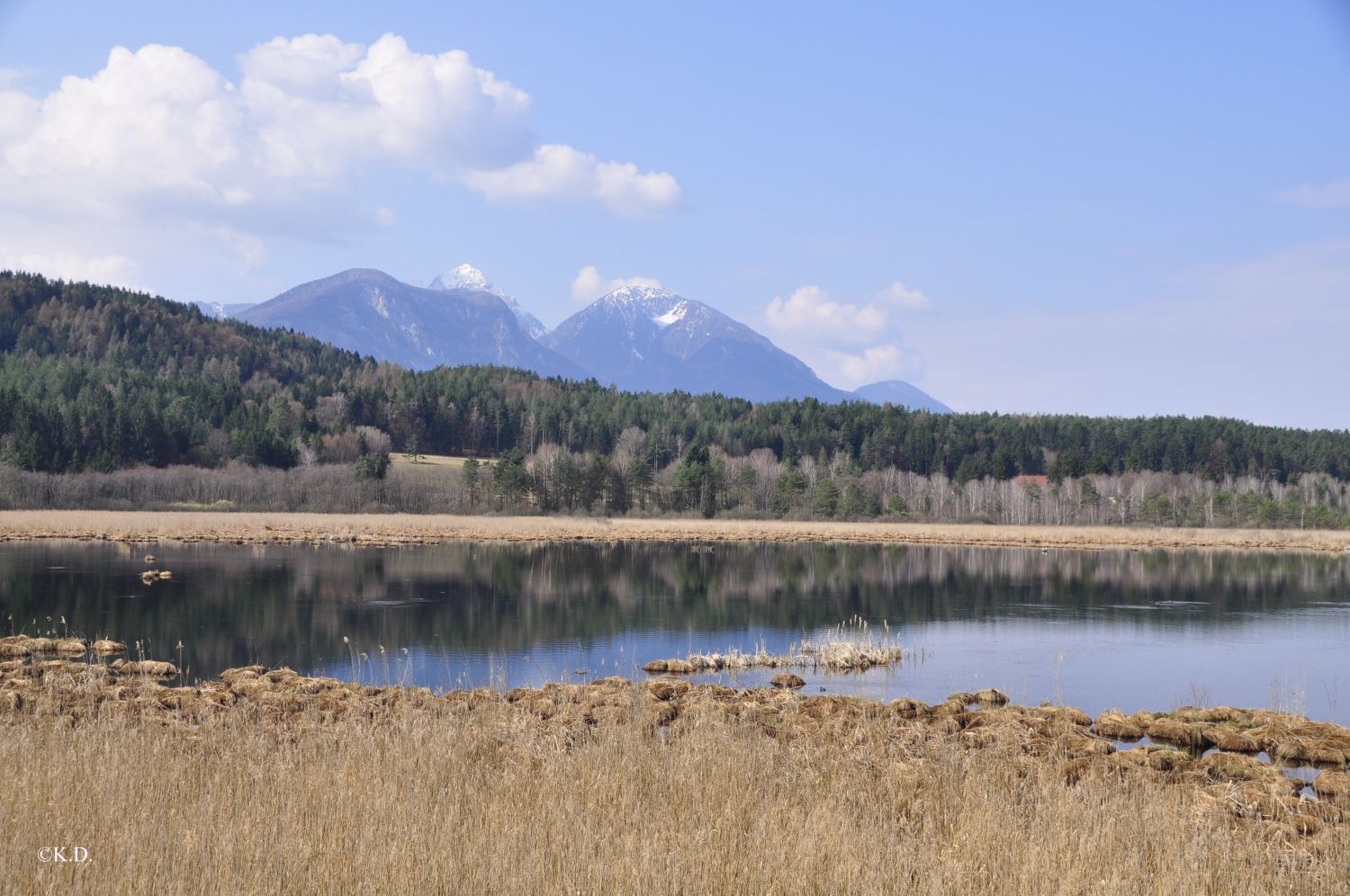 Sablatnig-Moor (Gem.Eberndorf - Nähe Klopeinersee)