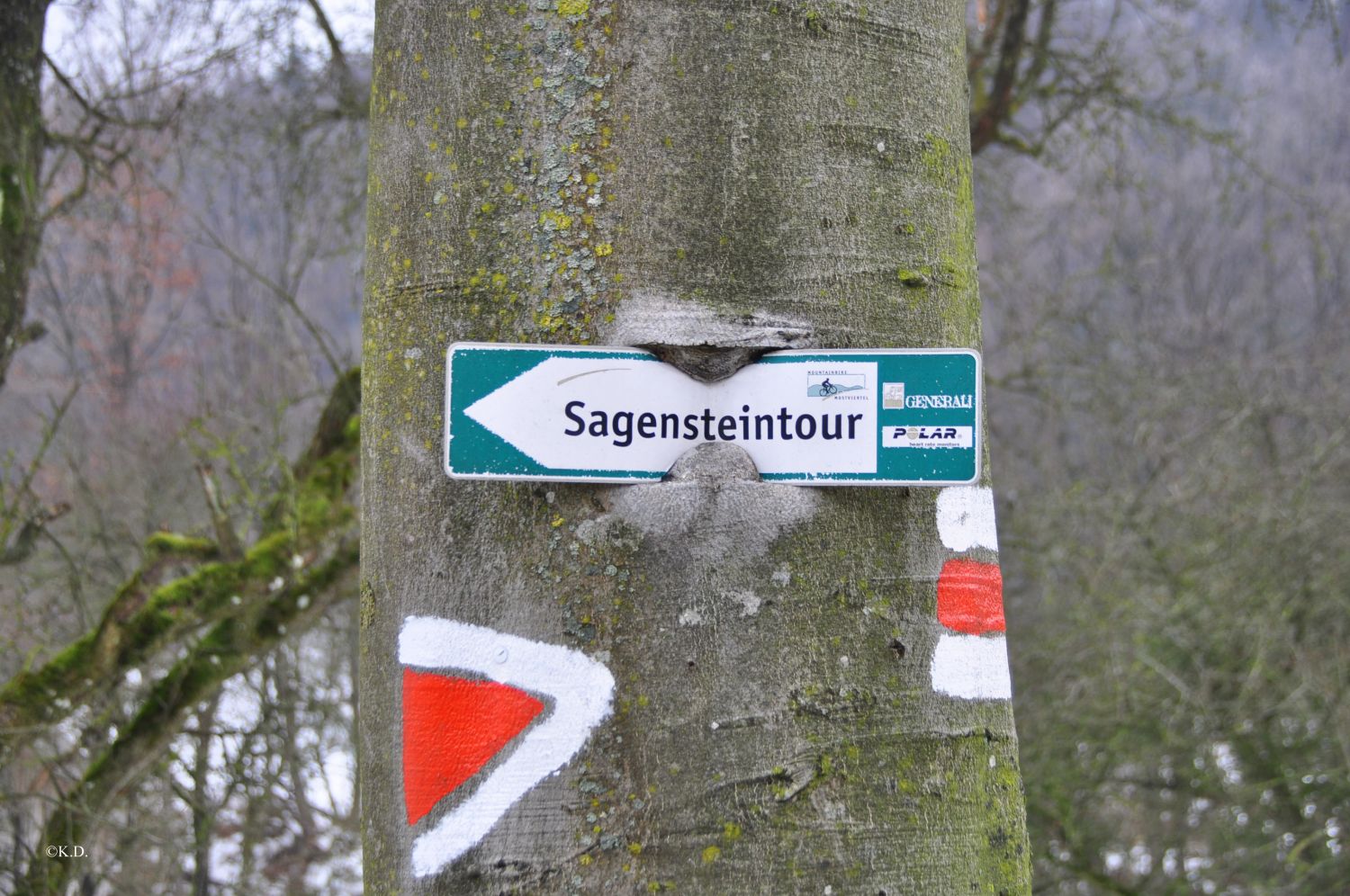 Sagensteintour Wilhelmsburg - Kreisbach