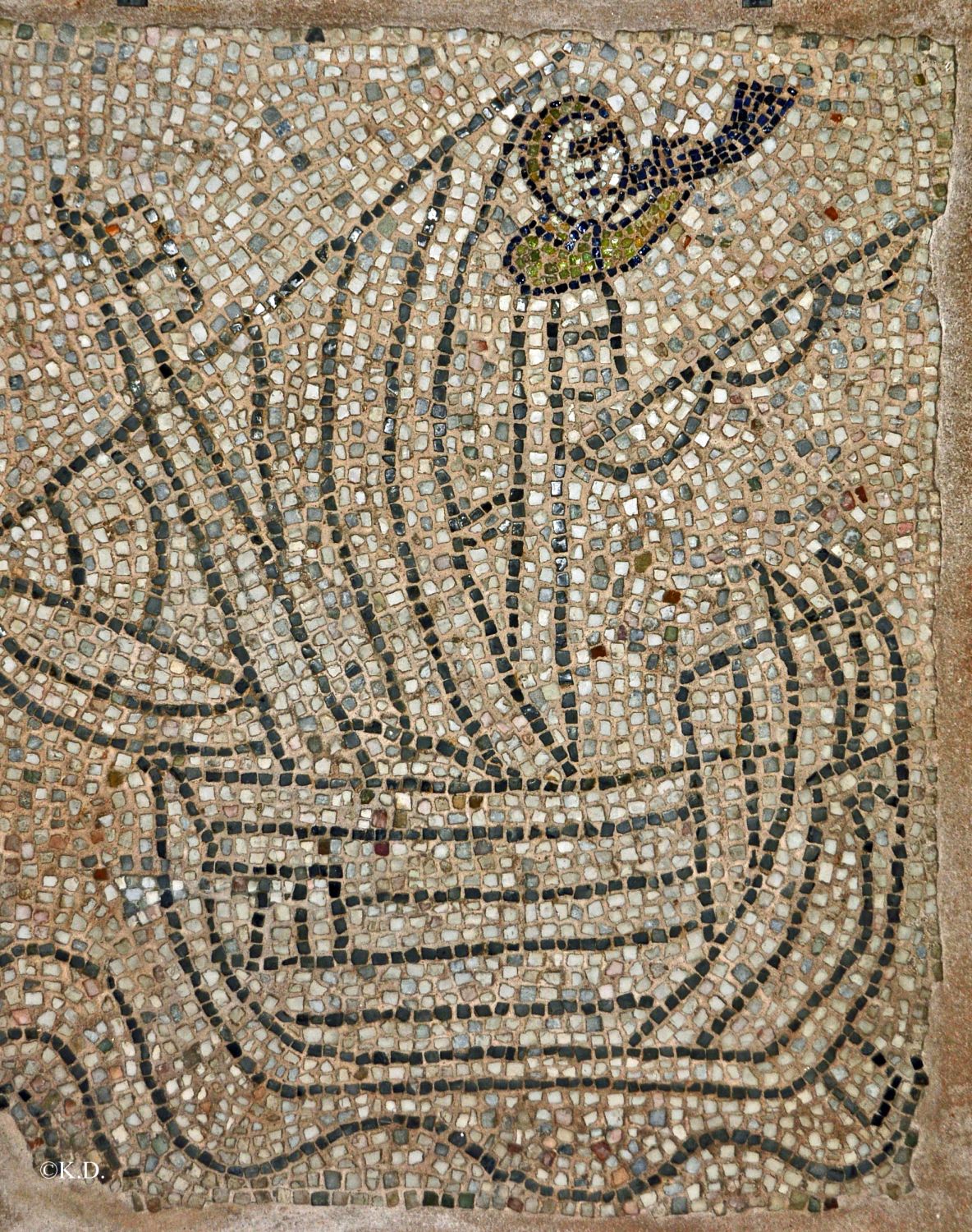 San Giovanni Evangelista in Ravenna (It)-Fußbodenmosaik