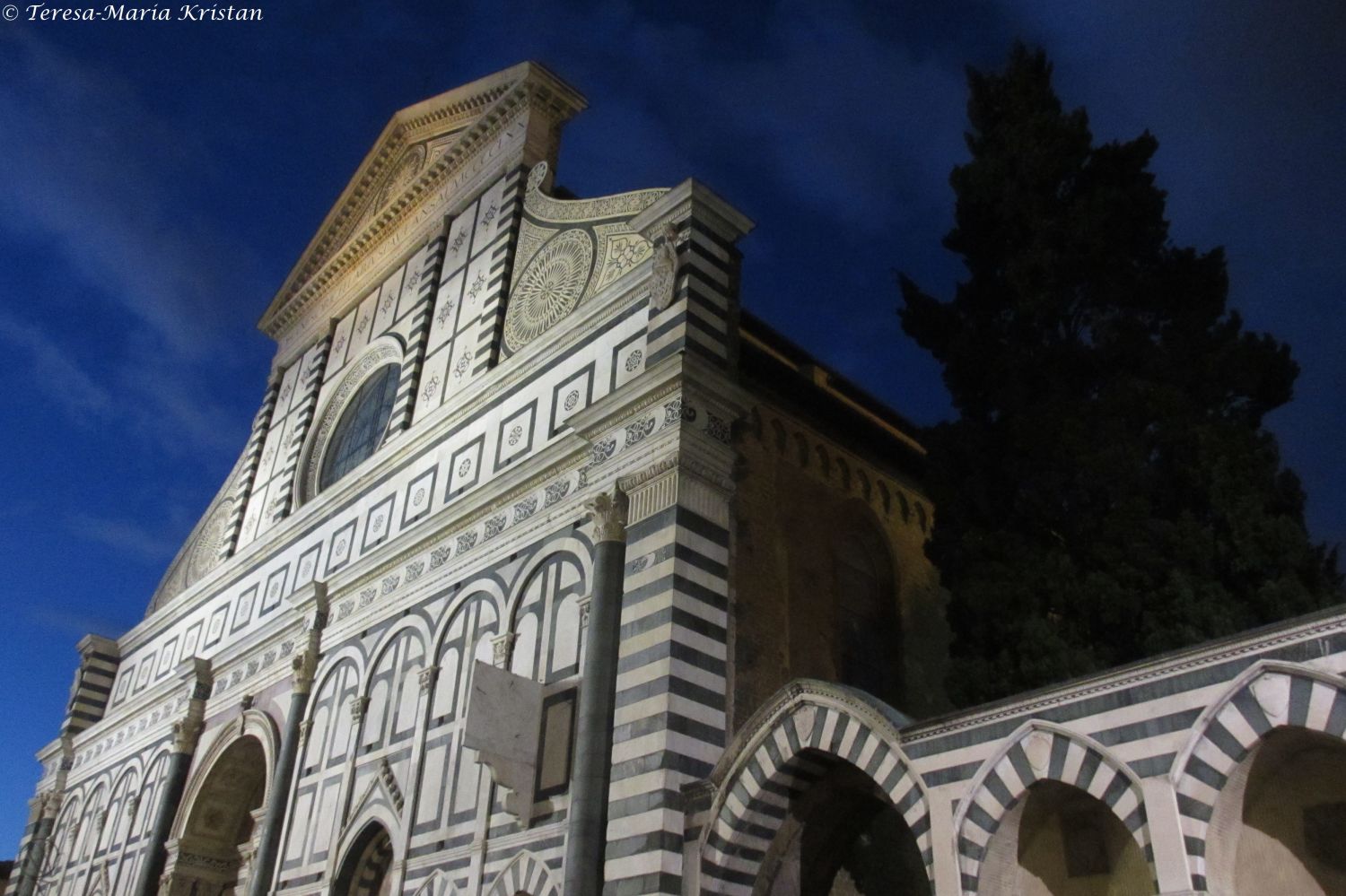 Santa Maria Novella, Florenz