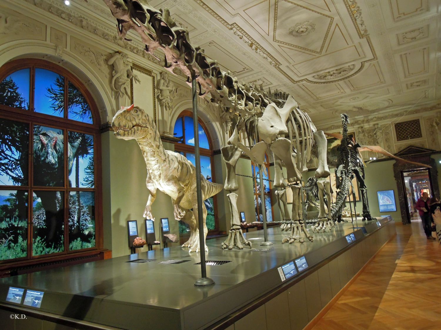 Sauriersaal im Naturhistorischen Museum in Wien