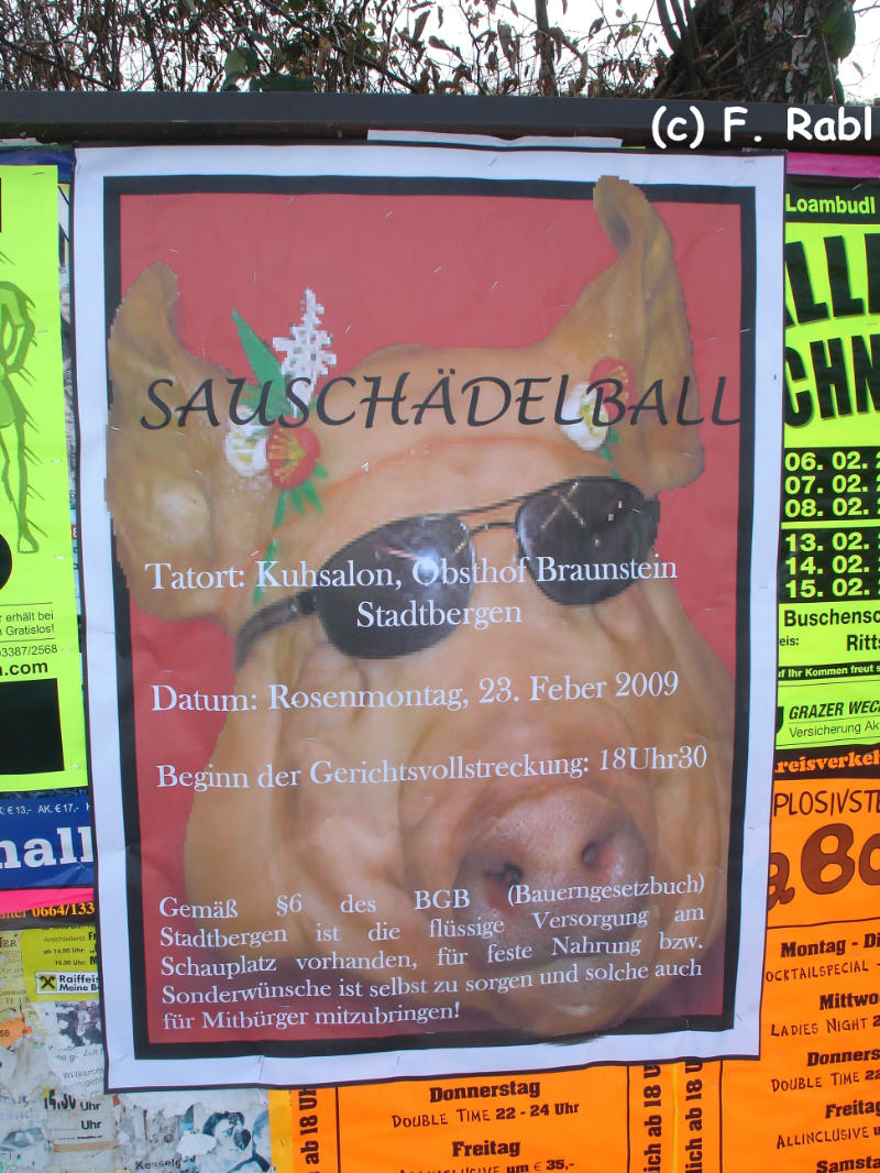 Sauschädelball