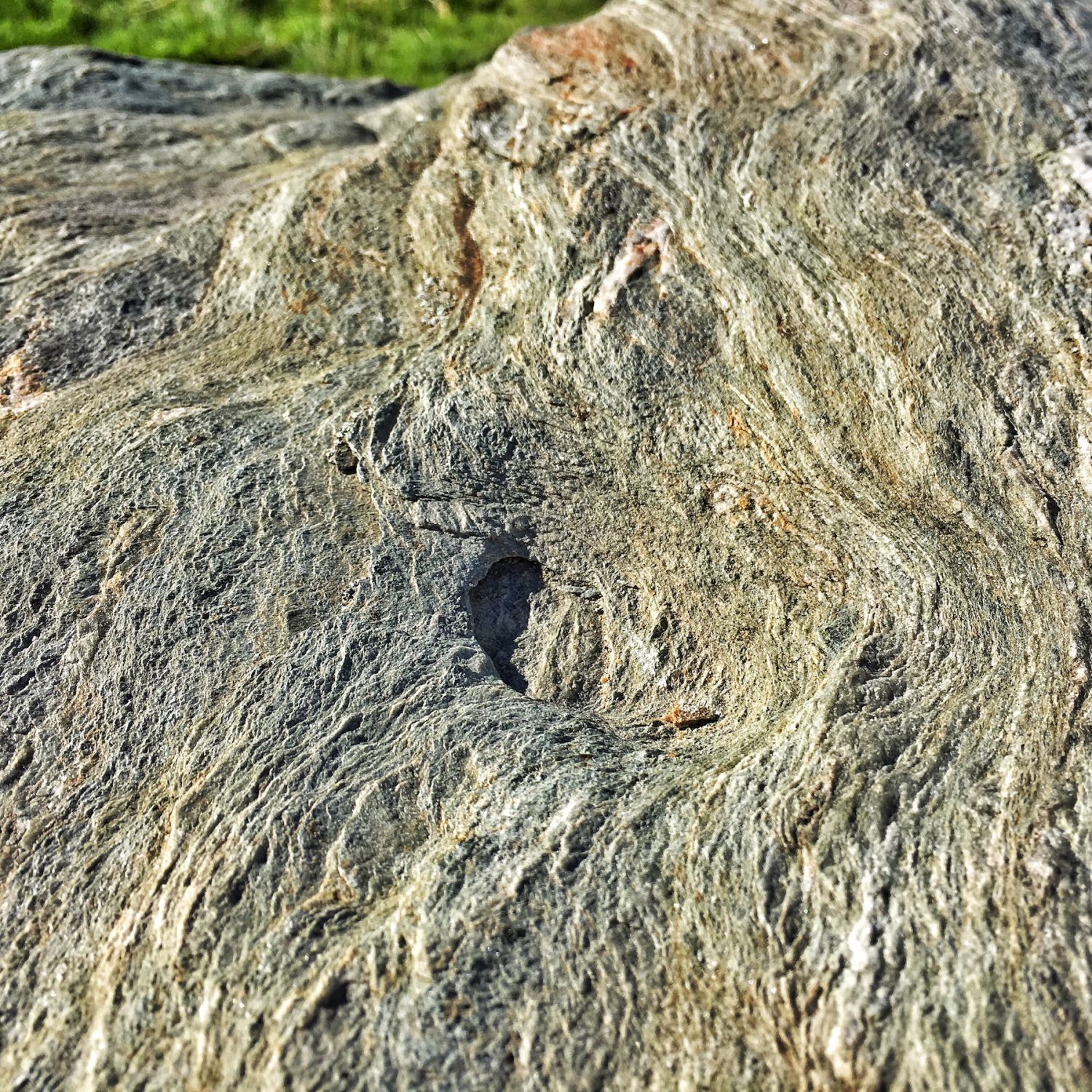 Schalenstein auf dem Viggar Hochleger