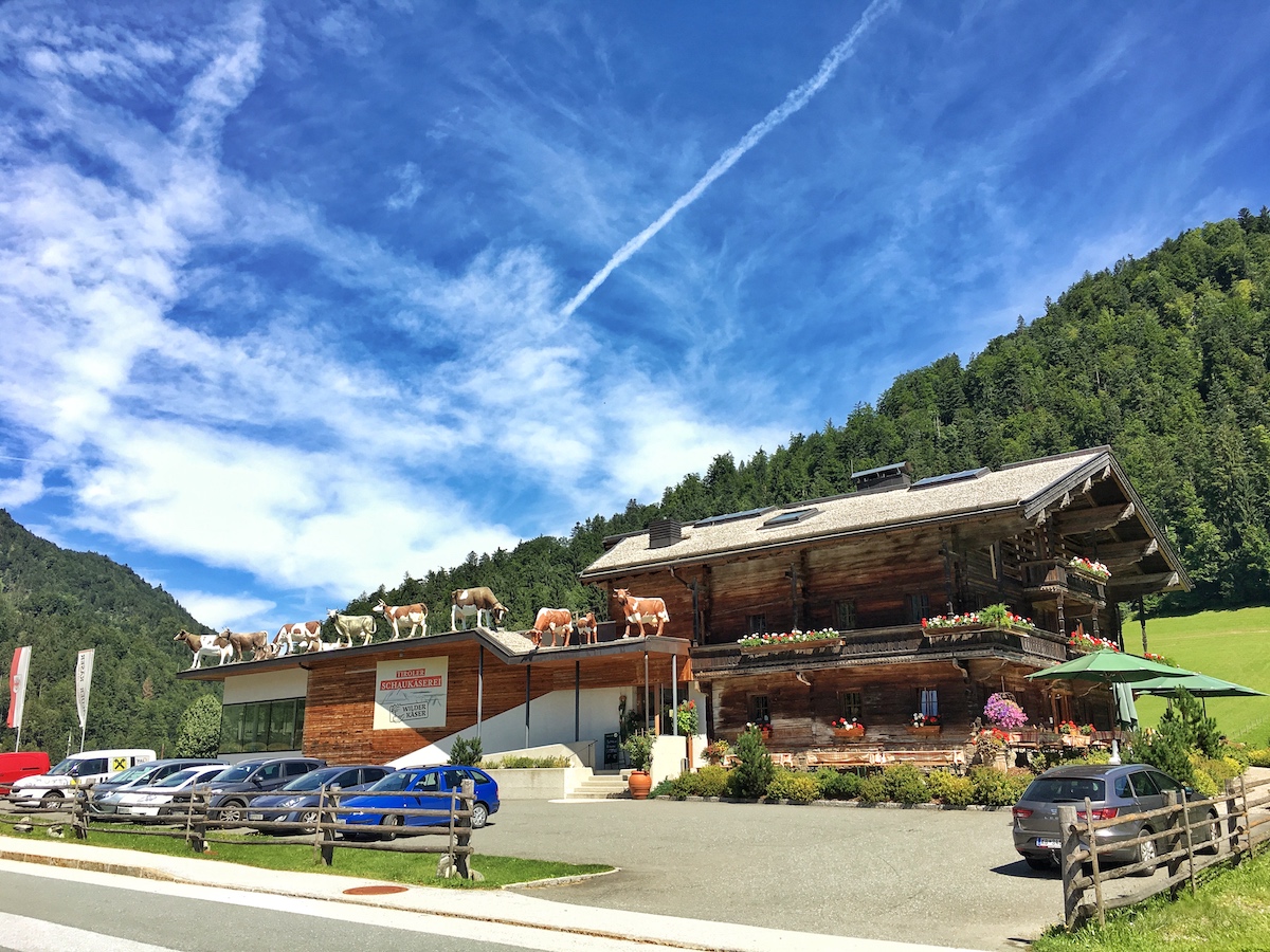 Schaukäserei Wilde Kaser, Kirchdorf in Tirol