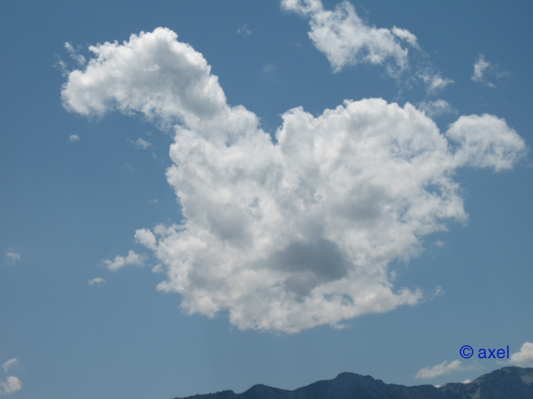 Schaukelpferd im Himmel