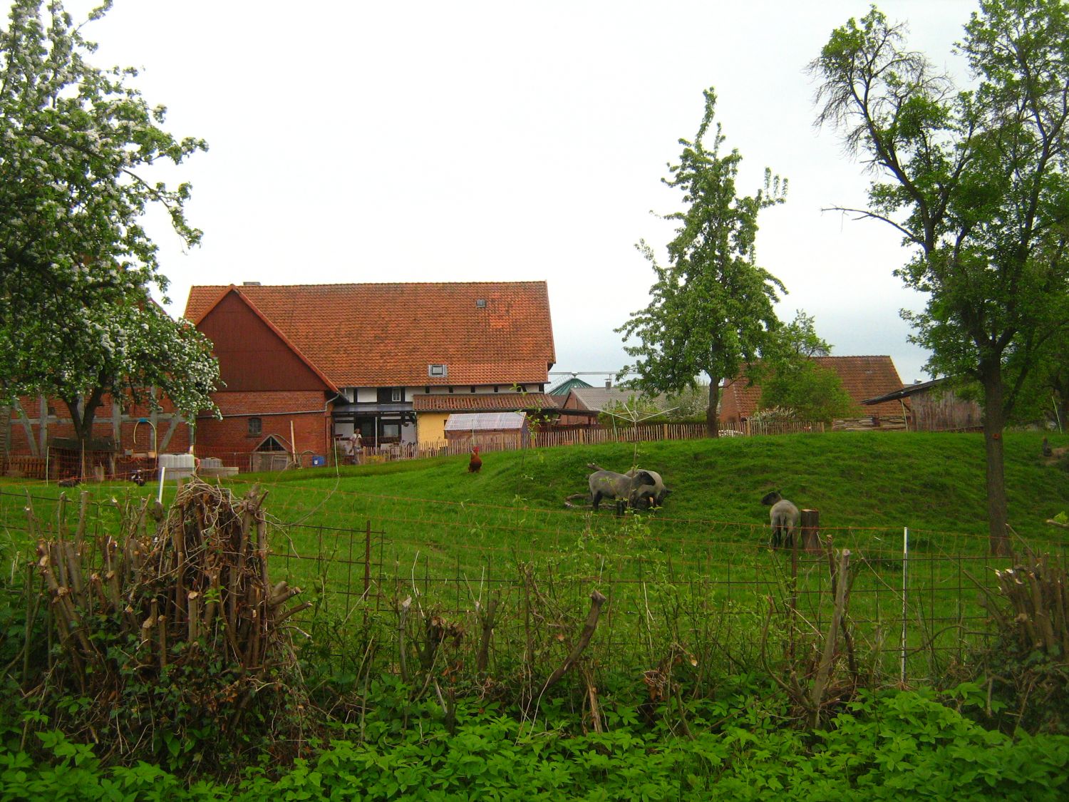 Schaumburger Gehöft in Groß Hegestorf (Grafschaft Schaumburg)