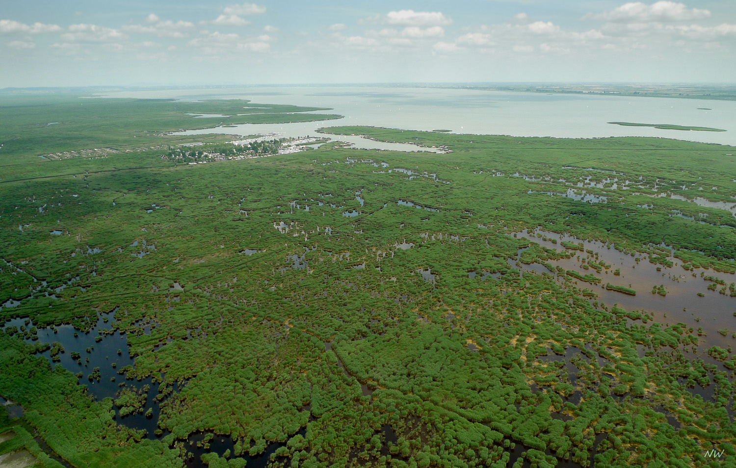 Schilfgürtel am Neusiedlersee - 1