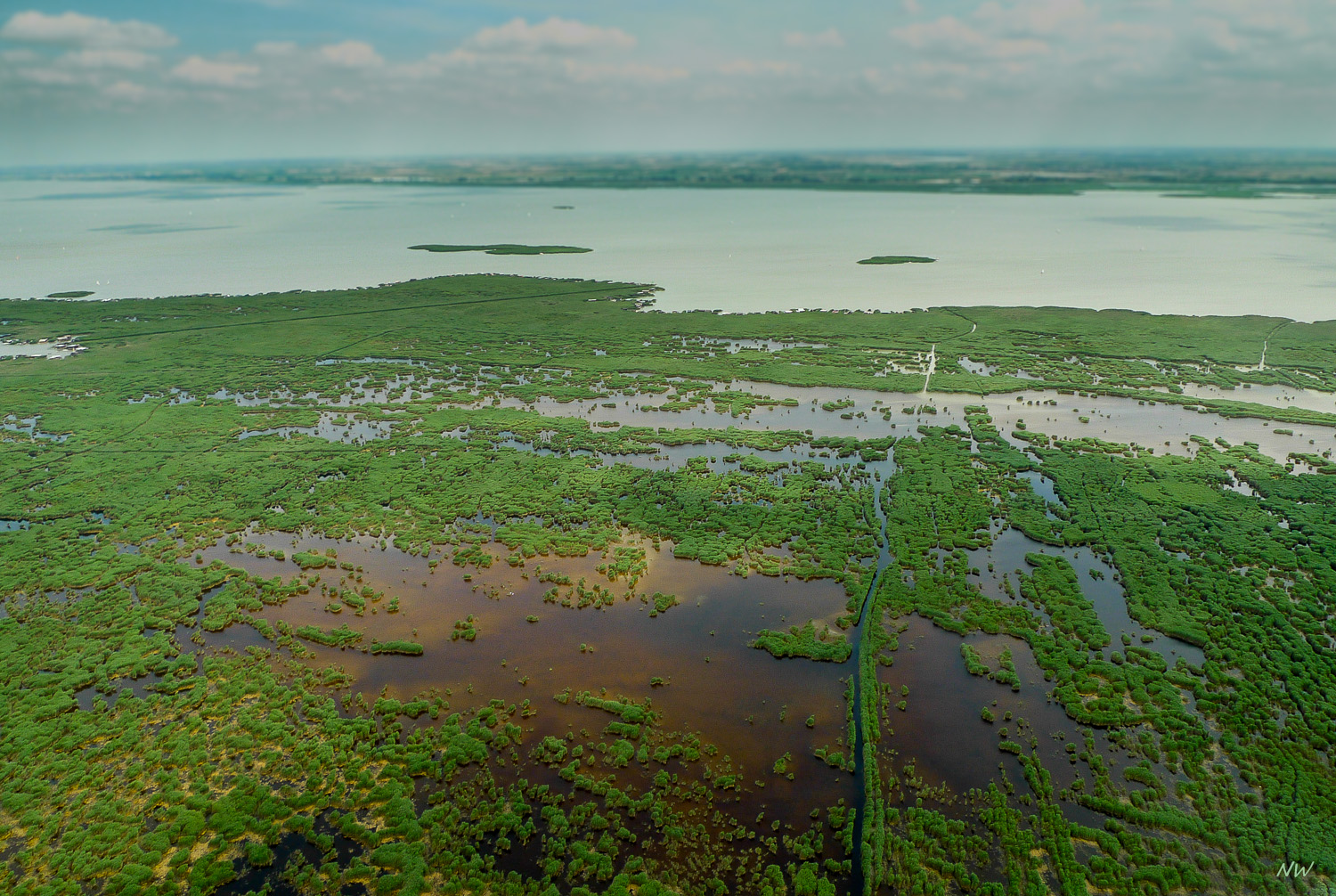 Schilfgürtel am Neusiedlersee