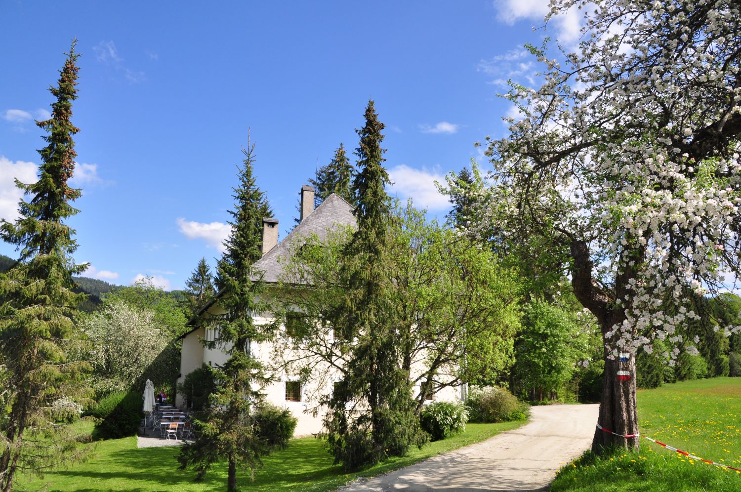 Schloss Albeck bei Sirnitz im Gurktal