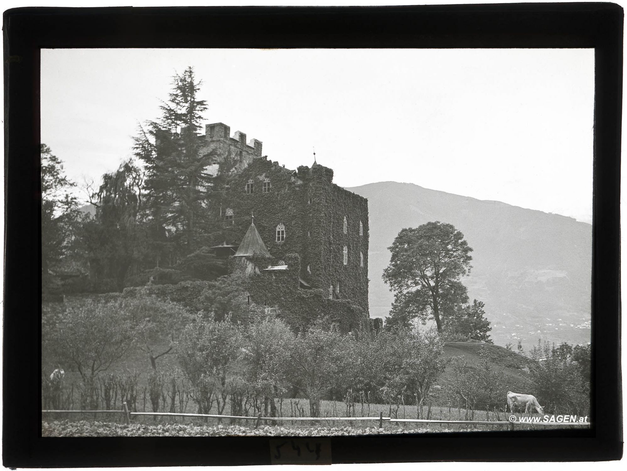 Schloss Katzenstein, Meran