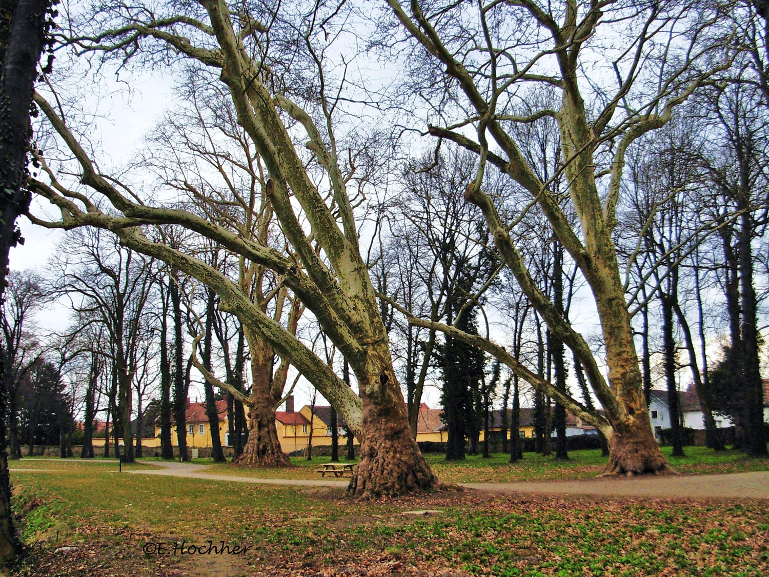 Schlosspark Wasserschloss Pottendorf