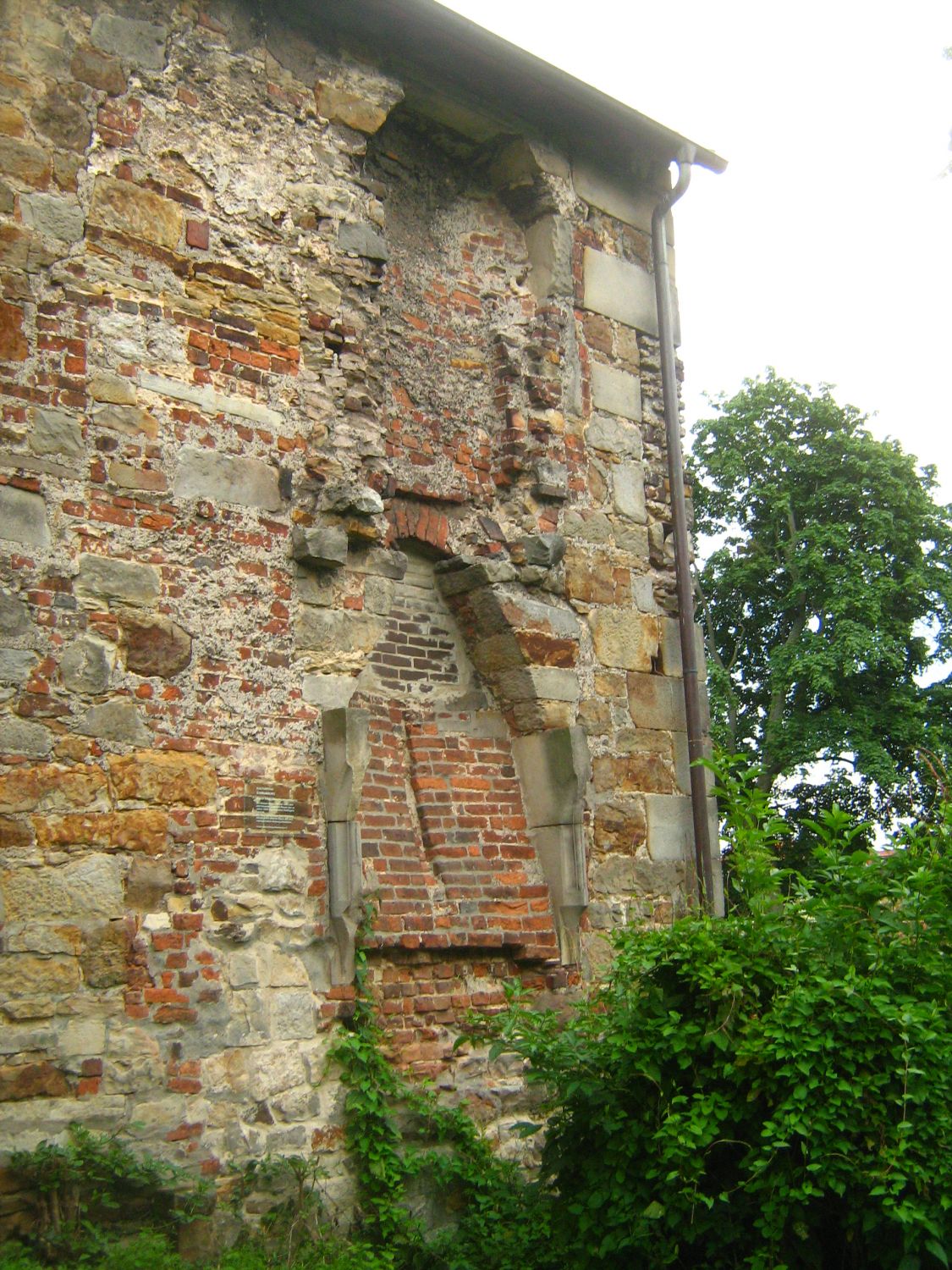 Schlossruine Rodenberg: Rest eines Kamins