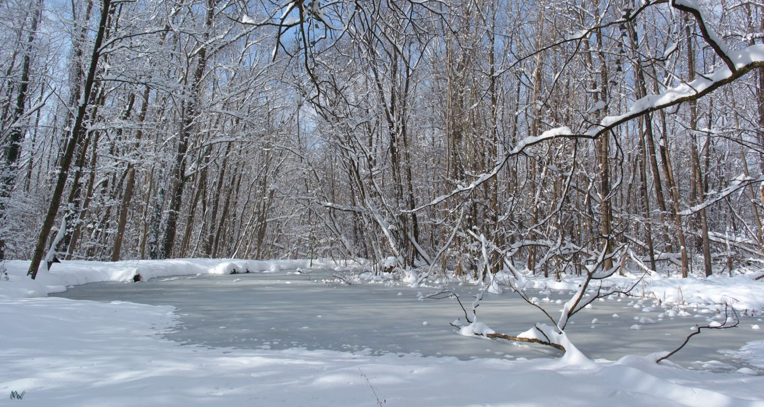 Schnee und Eis am Teich