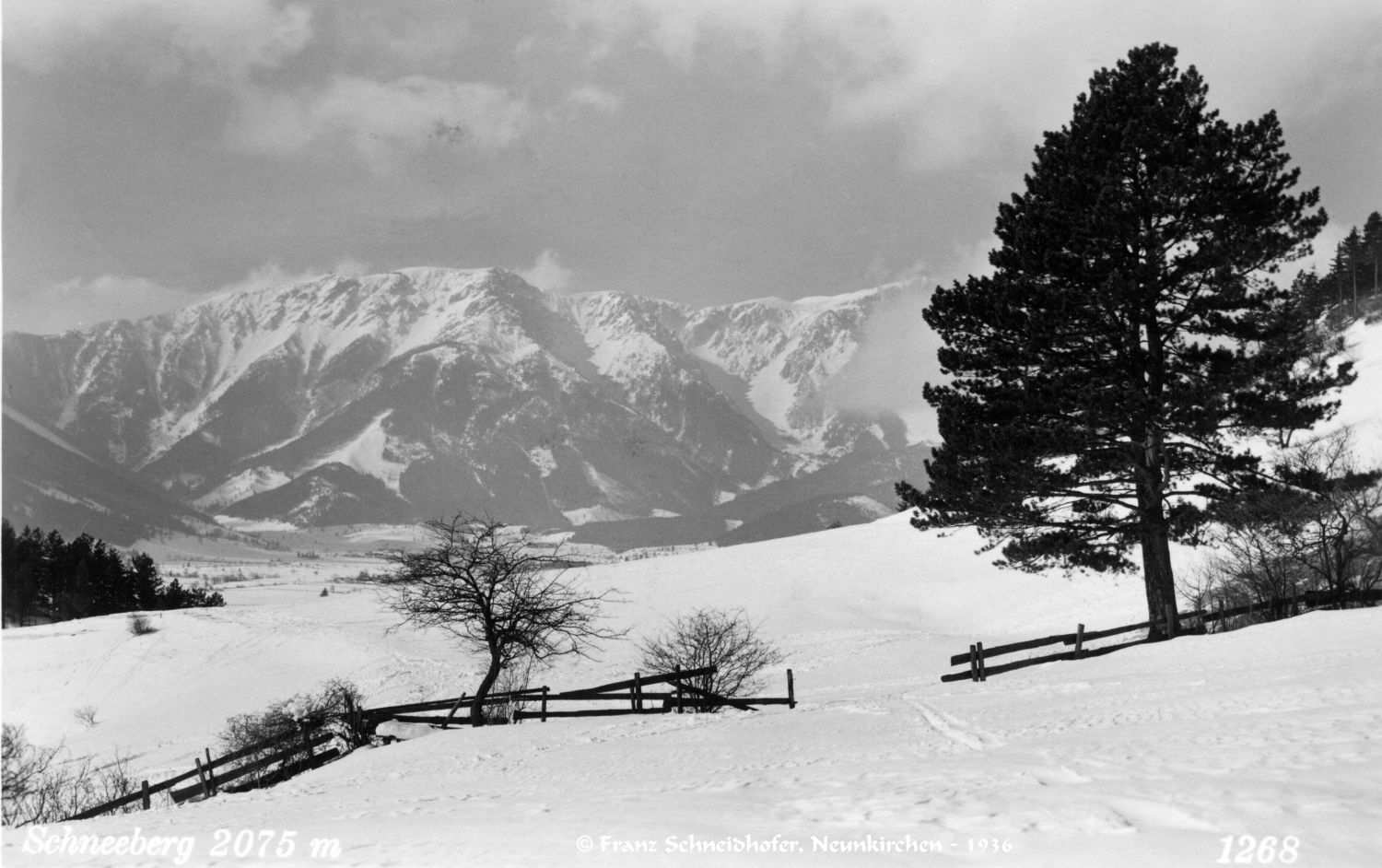 Schneeberg 1936