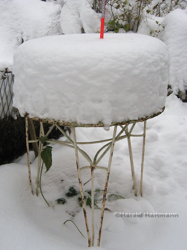 Schneehaube