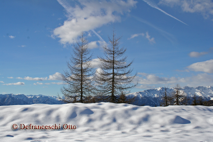 Schneelandschaft