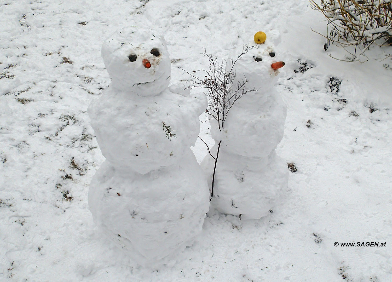 Schneemänner 2016